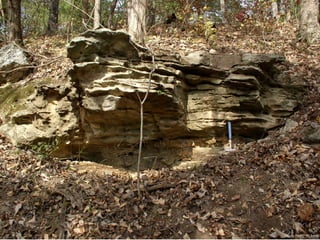 Photo by W. W. Little
 