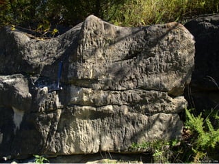 Photo by W. W. Little
 