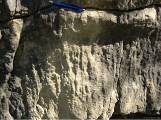 Photo by W. W. Little
 