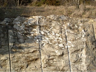 Photo by W. W. Little
 