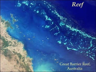 Great Barrier Reef,
Australia
Reef
 