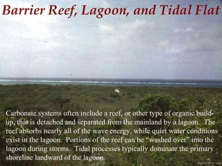 Photo by W. W. Little
Barrier Reef, Lagoon, and Tidal Flat
Carbonate systems often include a reef, or other type of organic build-
up, that is detached and separated from the mainland by a lagoon. The
reef absorbs nearly all of the wave energy, while quiet water conditions
exist in the lagoon. Portions of the reef can be “washed over” into the
lagoon during storms. Tidal processes typically dominate the primary
shoreline landward of the lagoon.
 