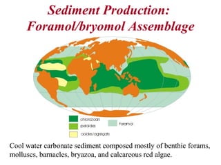 Sediment Production:
Foramol/bryomol Assemblage
Cool water carbonate sediment composed mostly of benthic forams,
molluscs, barnacles, bryazoa, and calcareous red algae.
 