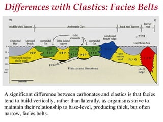 A significant difference between carbonates and clastics is that facies
tend to build vertically, rather than laterally, as organisms strive to
maintain their relationship to base-level, producing thick, but often
narrow, facies belts.
Differences with Clastics: Facies Belts
 