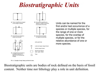 Biostratigraphic units are bodies of rock defined on the basis of fossil
content. Neither time nor lithology play a role in unit definition.
Biostratigraphic Units
Units can be named for the
first and/or last occurrence of a
species or multiple species, for
the range of one or more
species, for the overlap of
multiple species, or for the
relative abundance of one or
more species.
 