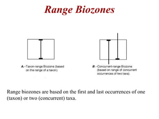 Range biozones are based on the first and last occurrences of one
(taxon) or two (concurrent) taxa.
Range Biozones
 