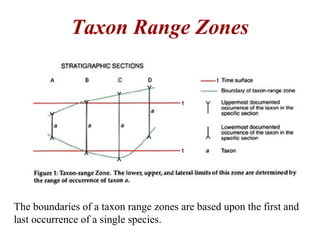 Taxon Range Zones
The boundaries of a taxon range zones are based upon the first and
last occurrence of a single species.
 