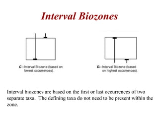 Interval biozones are based on the first or last occurrences of two
separate taxa. The defining taxa do not need to be present within the
zone.
Interval Biozones
 