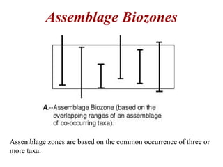 Assemblage zones are based on the common occurrence of three or
more taxa.
Assemblage Biozones
 