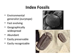 Index Fossils
• Environmental
generalist (eurytope)
• Fast evolving
• Geographically
widespread
• Abundant
• Easily preservable
• Easily recognizable
 