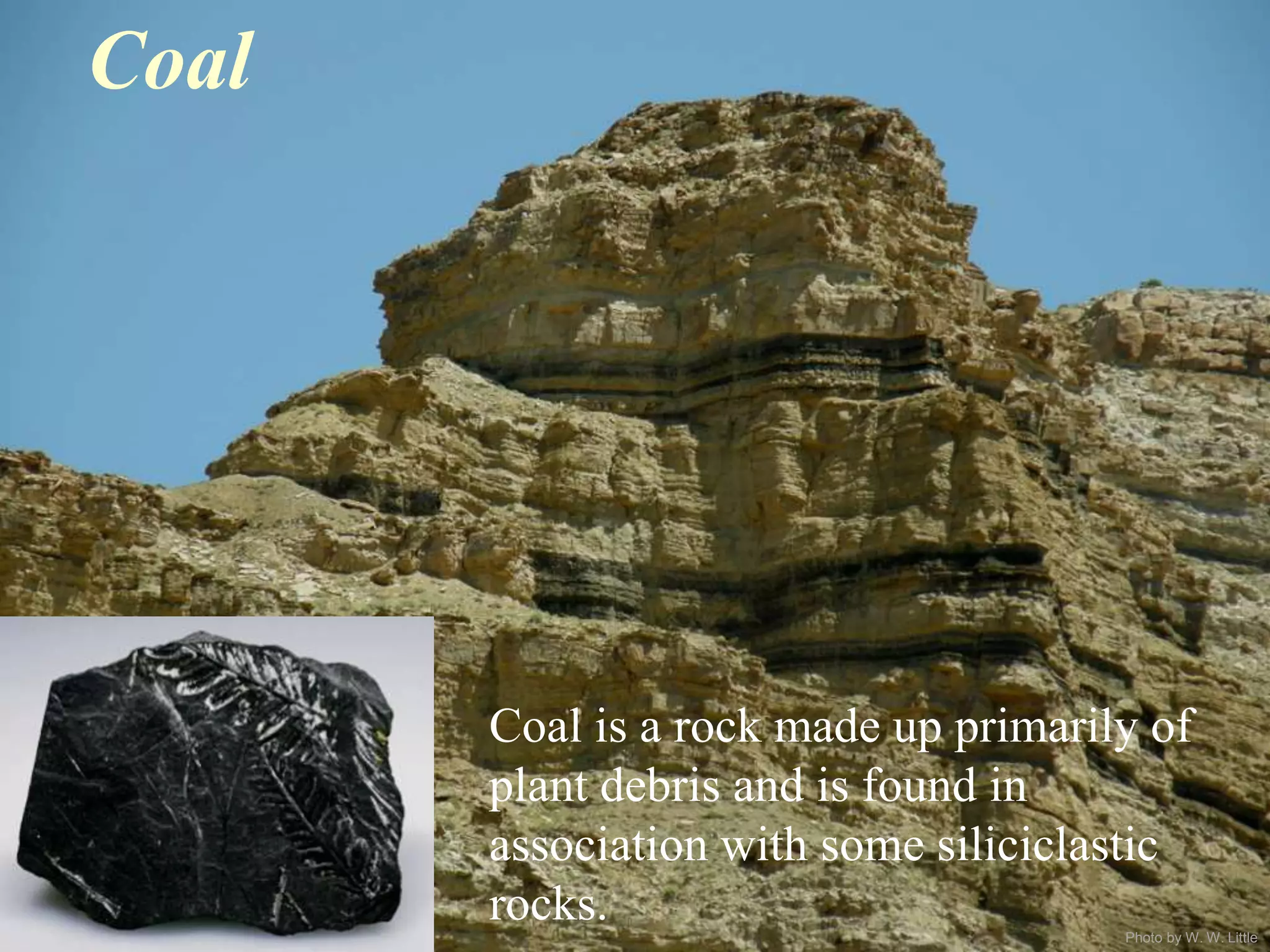 Photo by W. W. Little
Coal
Coal is a rock made up primarily of
plant debris and is found in
association with some siliciclastic
rocks.
 