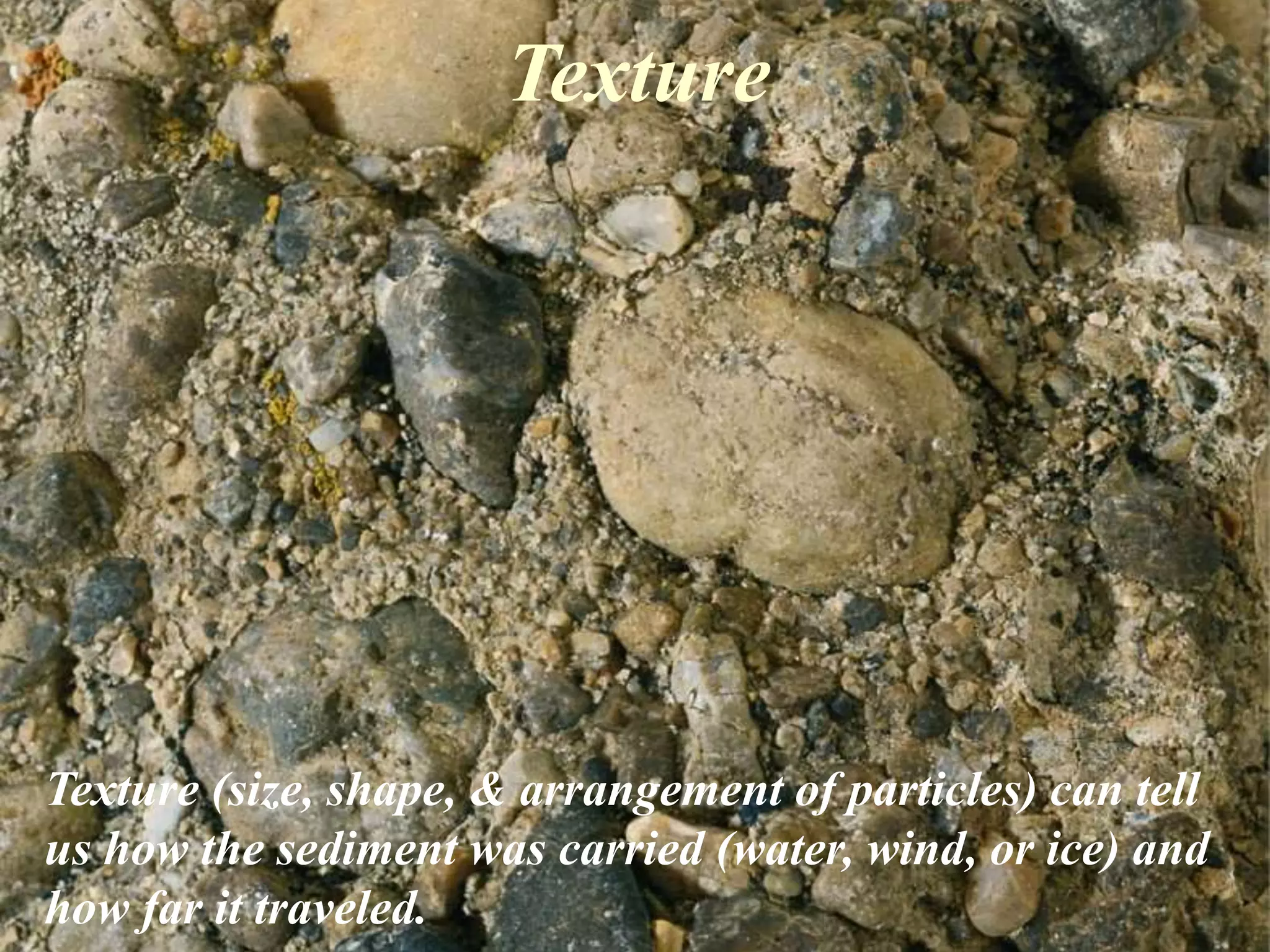 Texture
Texture (size, shape, & arrangement of particles) can tell
us how the sediment was carried (water, wind, or ice) and
how far it traveled.
 