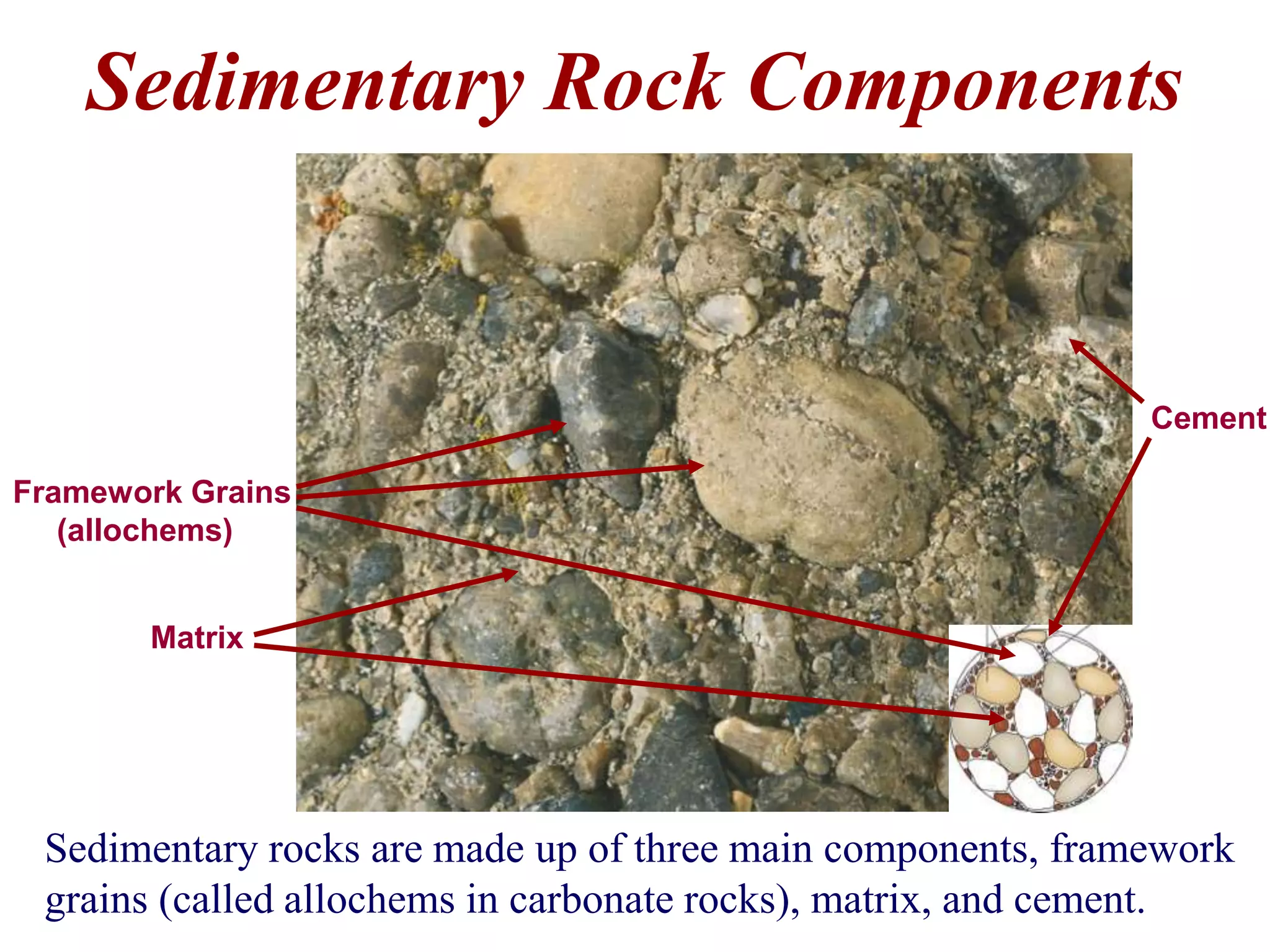 Sedimentary Rock Components
Sedimentary rocks are made up of three main components, framework
grains (called allochems in carbonate rocks), matrix, and cement.
Framework Grains
(allochems)
Matrix
Cement
 