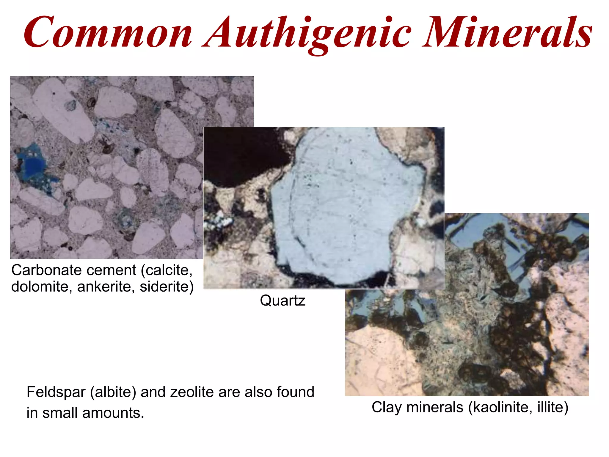 Common Authigenic Minerals
Carbonate cement (calcite,
dolomite, ankerite, siderite)
Clay minerals (kaolinite, illite)
Quartz
Feldspar (albite) and zeolite are also found
in small amounts.
 