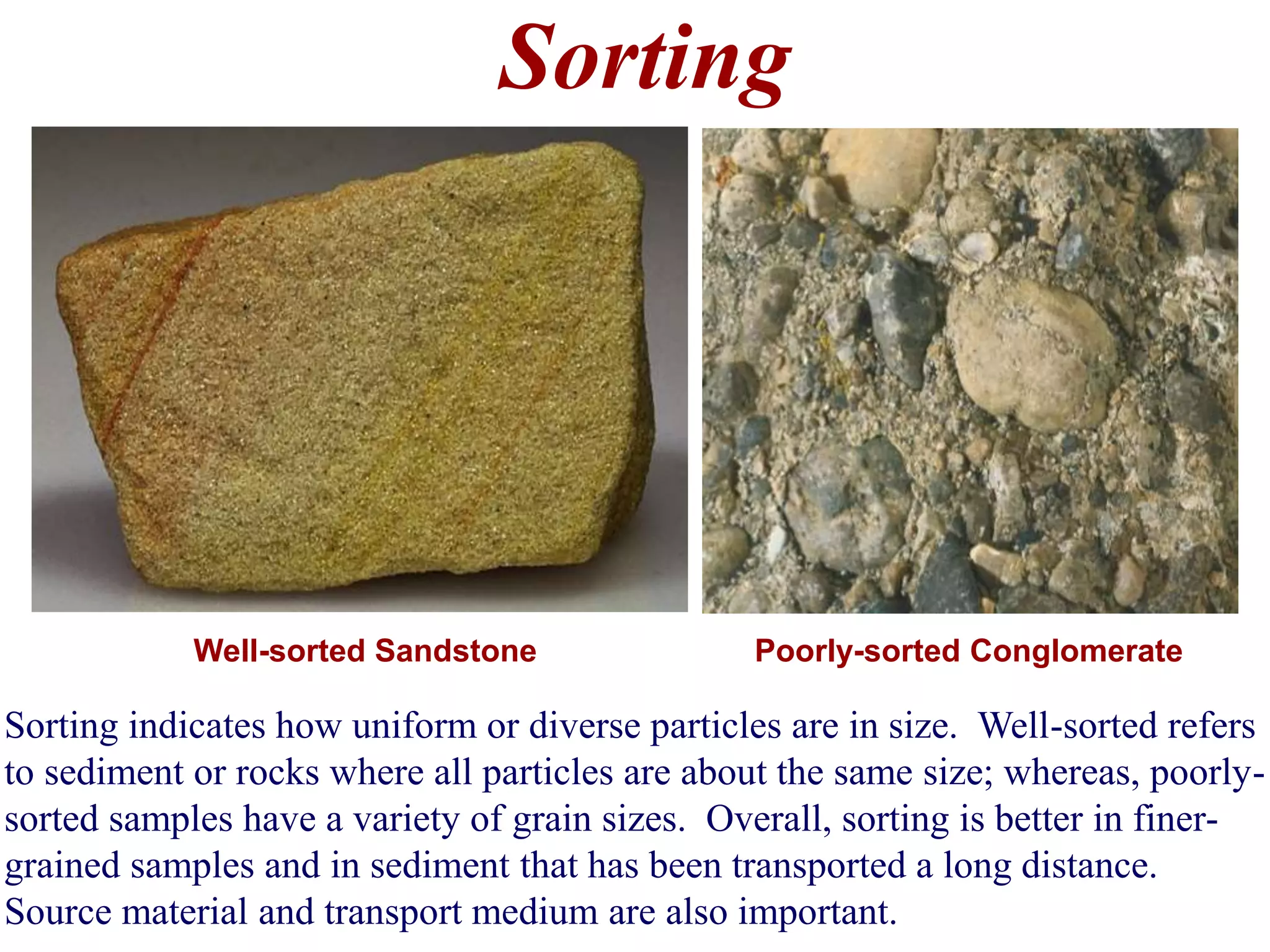 Sorting
Sorting indicates how uniform or diverse particles are in size. Well-sorted refers
to sediment or rocks where all particles are about the same size; whereas, poorly-
sorted samples have a variety of grain sizes. Overall, sorting is better in finer-
grained samples and in sediment that has been transported a long distance.
Source material and transport medium are also important.
Well-sorted Sandstone Poorly-sorted Conglomerate
 
