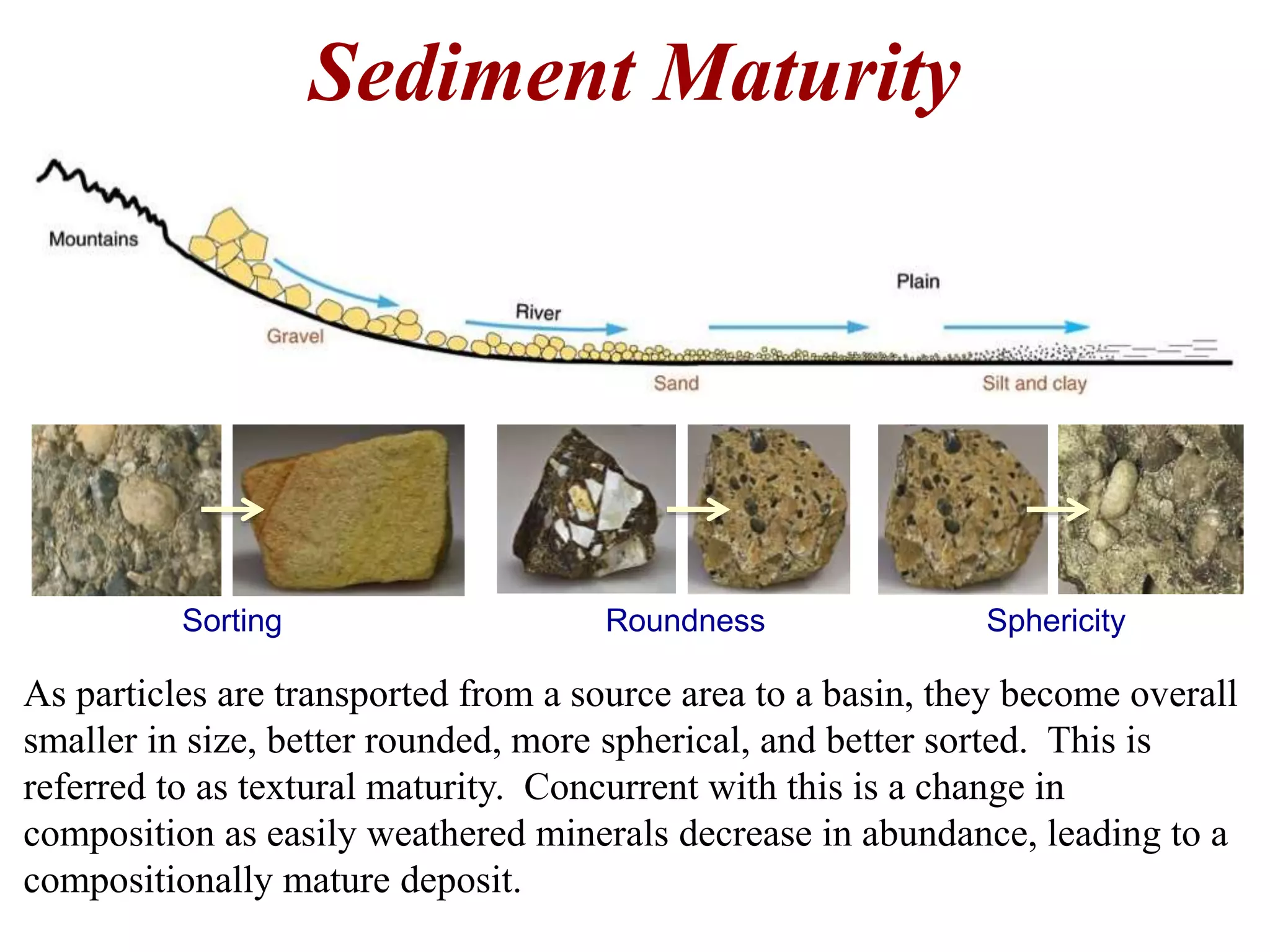 Sediment Maturity
As particles are transported from a source area to a basin, they become overall
smaller in size, better rounded, more spherical, and better sorted. This is
referred to as textural maturity. Concurrent with this is a change in
composition as easily weathered minerals decrease in abundance, leading to a
compositionally mature deposit.
Sorting SphericityRoundness
 