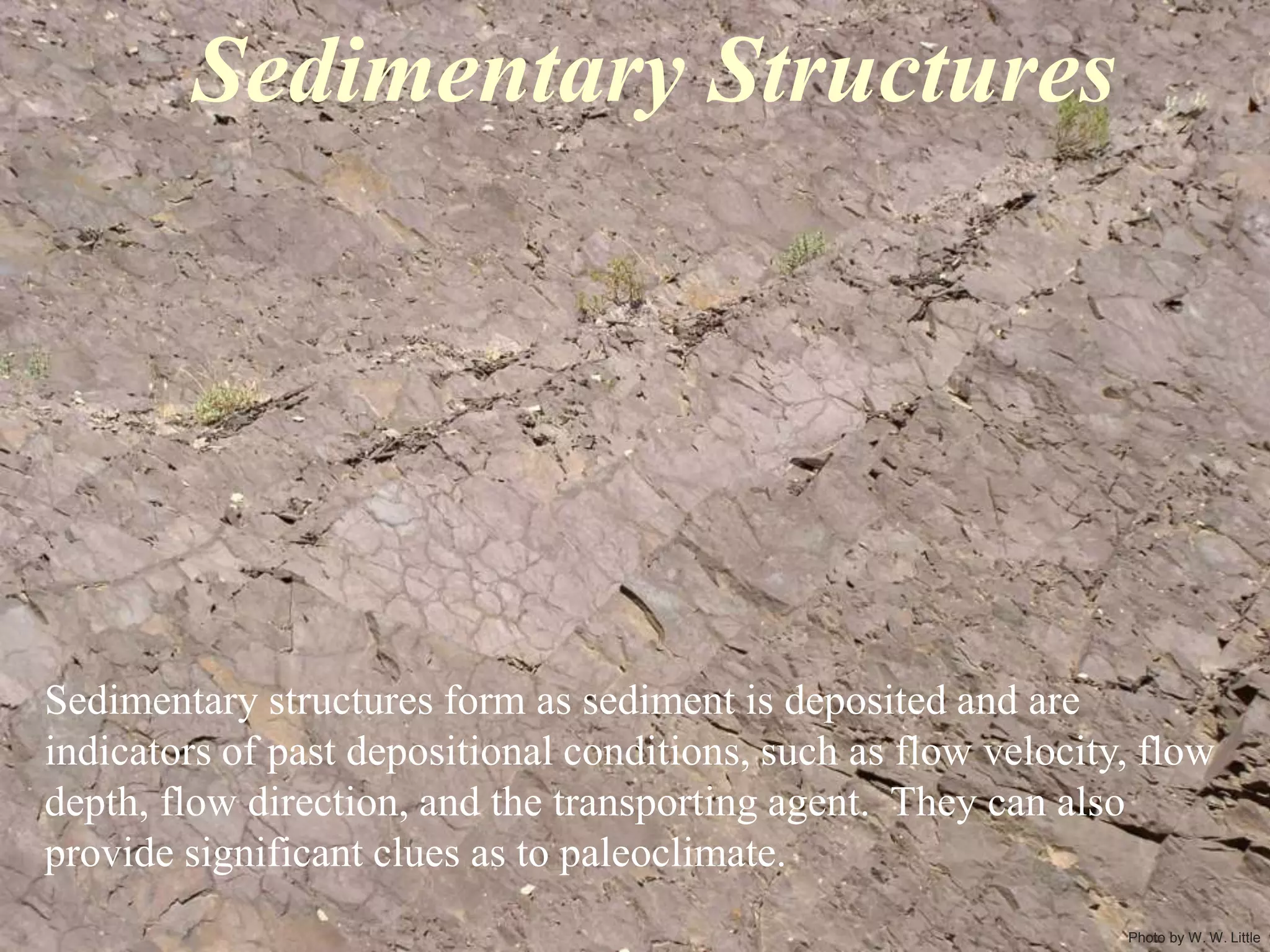 Photo by W. W. Little
Sedimentary Structures
Sedimentary structures form as sediment is deposited and are
indicators of past depositional conditions, such as flow velocity, flow
depth, flow direction, and the transporting agent. They can also
provide significant clues as to paleoclimate.
 