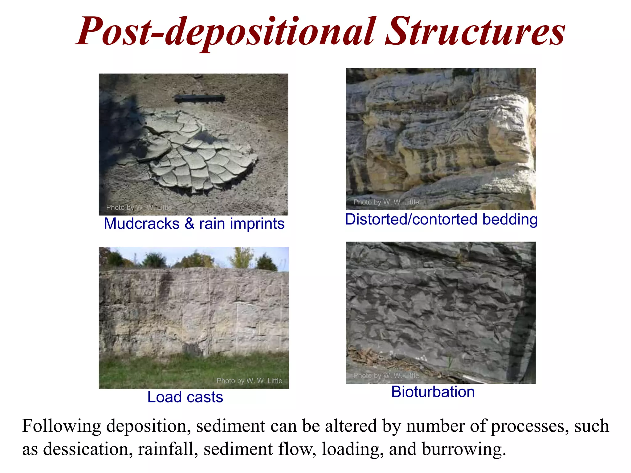 Post-depositional Structures
Following deposition, sediment can be altered by number of processes, such
as dessication, rainfall, sediment flow, loading, and burrowing.
Mudcracks & rain imprints Distorted/contorted bedding
Load casts Bioturbation
Photo by W. W. Little
Photo by W. W. Little
Photo by W. W. Little
Photo by W. W. Little
 