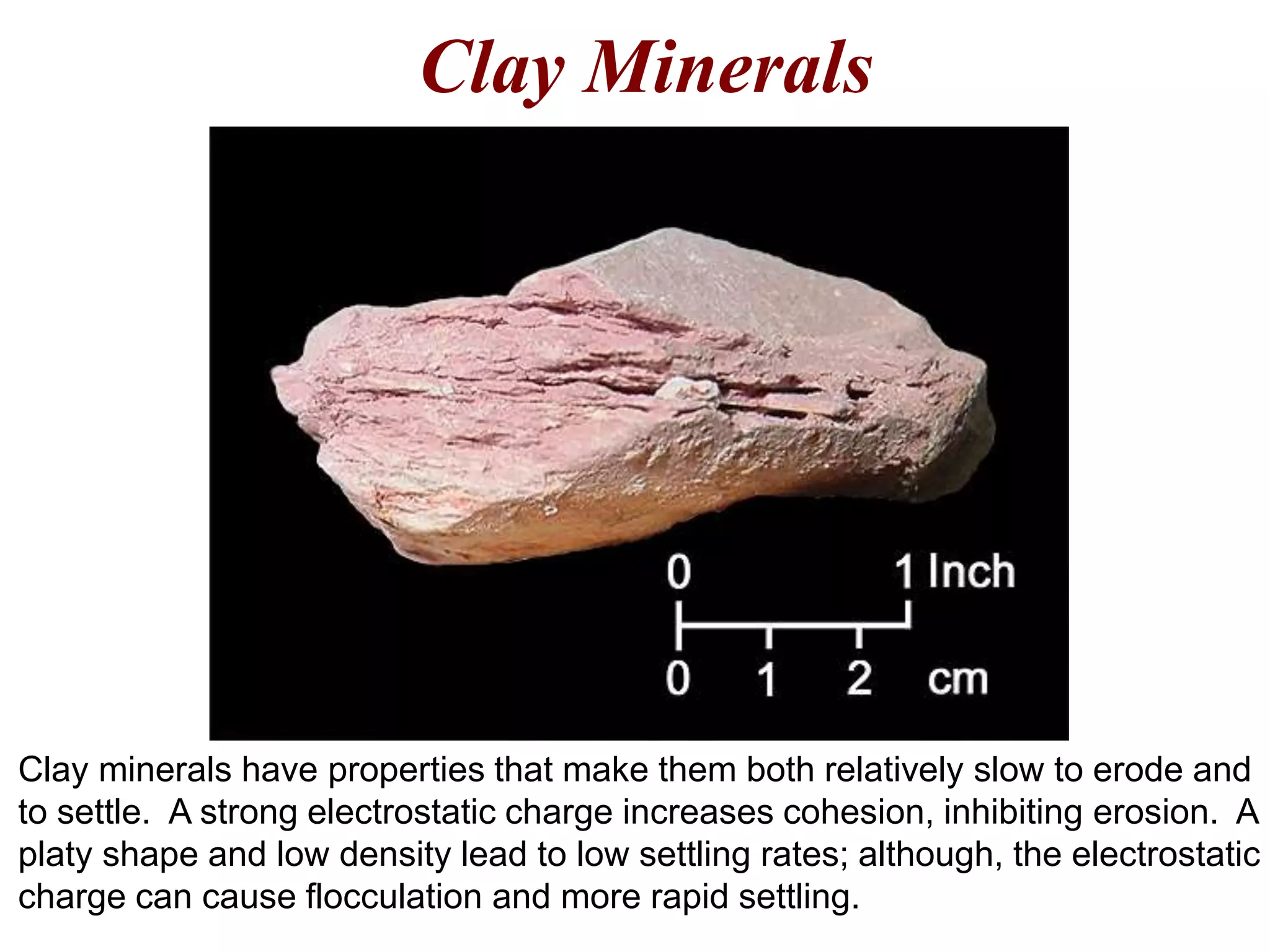 Clay Minerals
Clay minerals have properties that make them both relatively slow to erode and
to settle. A strong electrostatic charge increases cohesion, inhibiting erosion. A
platy shape and low density lead to low settling rates; although, the electrostatic
charge can cause flocculation and more rapid settling.
 