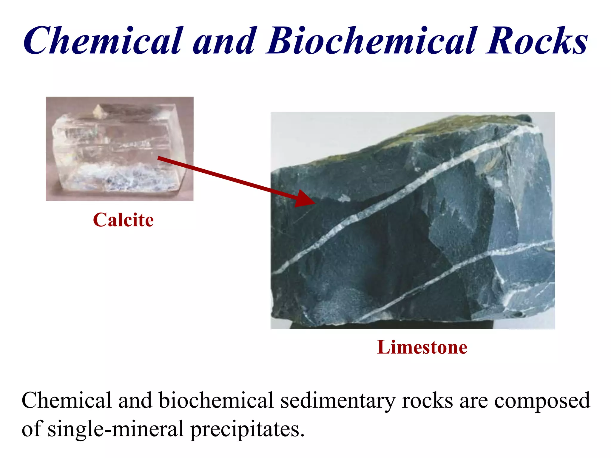 Chemical and Biochemical Rocks
Chemical and biochemical sedimentary rocks are composed
of single-mineral precipitates.
Calcite
Limestone
 