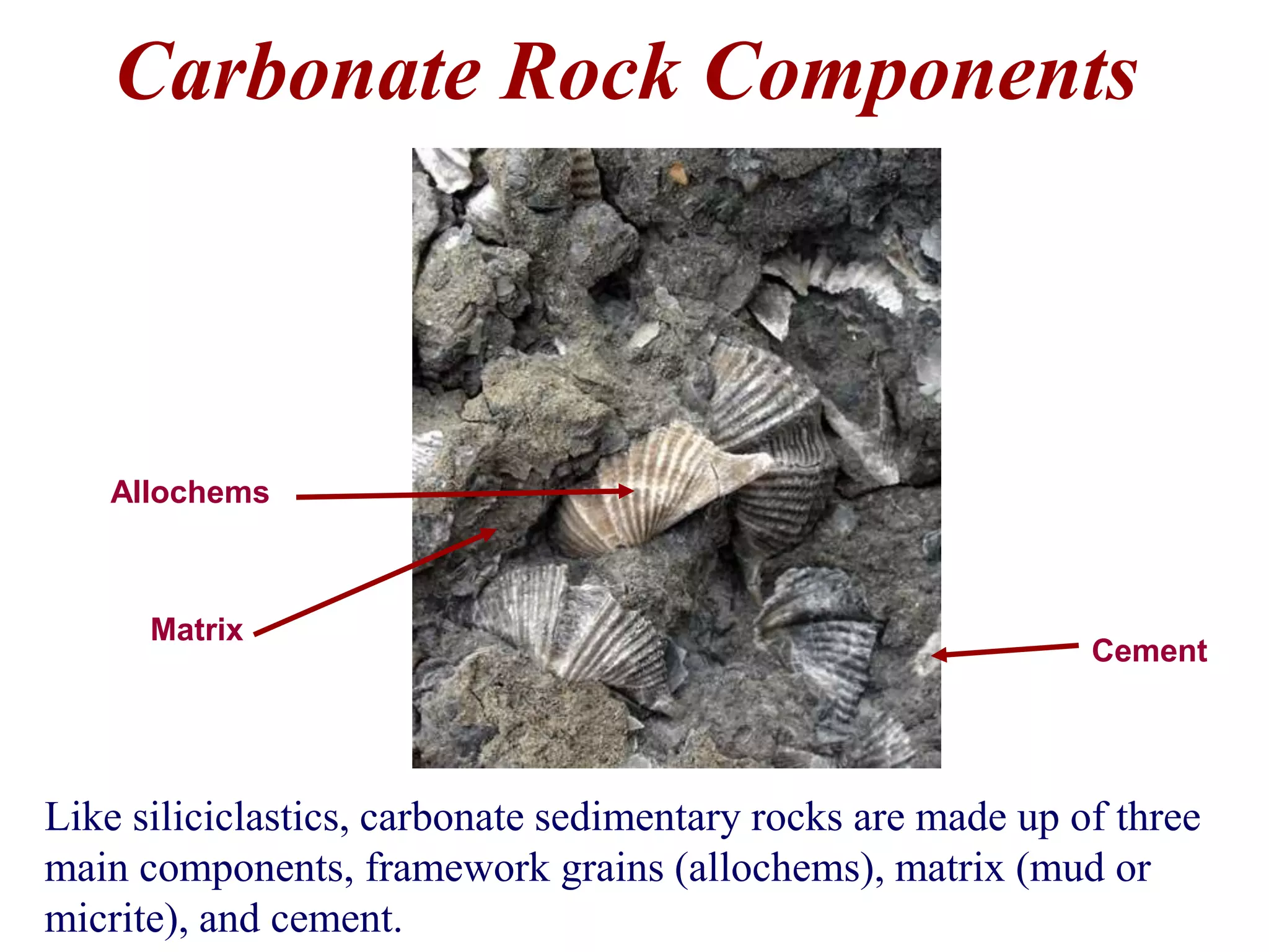 Carbonate Rock Components
Like siliciclastics, carbonate sedimentary rocks are made up of three
main components, framework grains (allochems), matrix (mud or
micrite), and cement.
Allochems
Matrix
Cement
 
