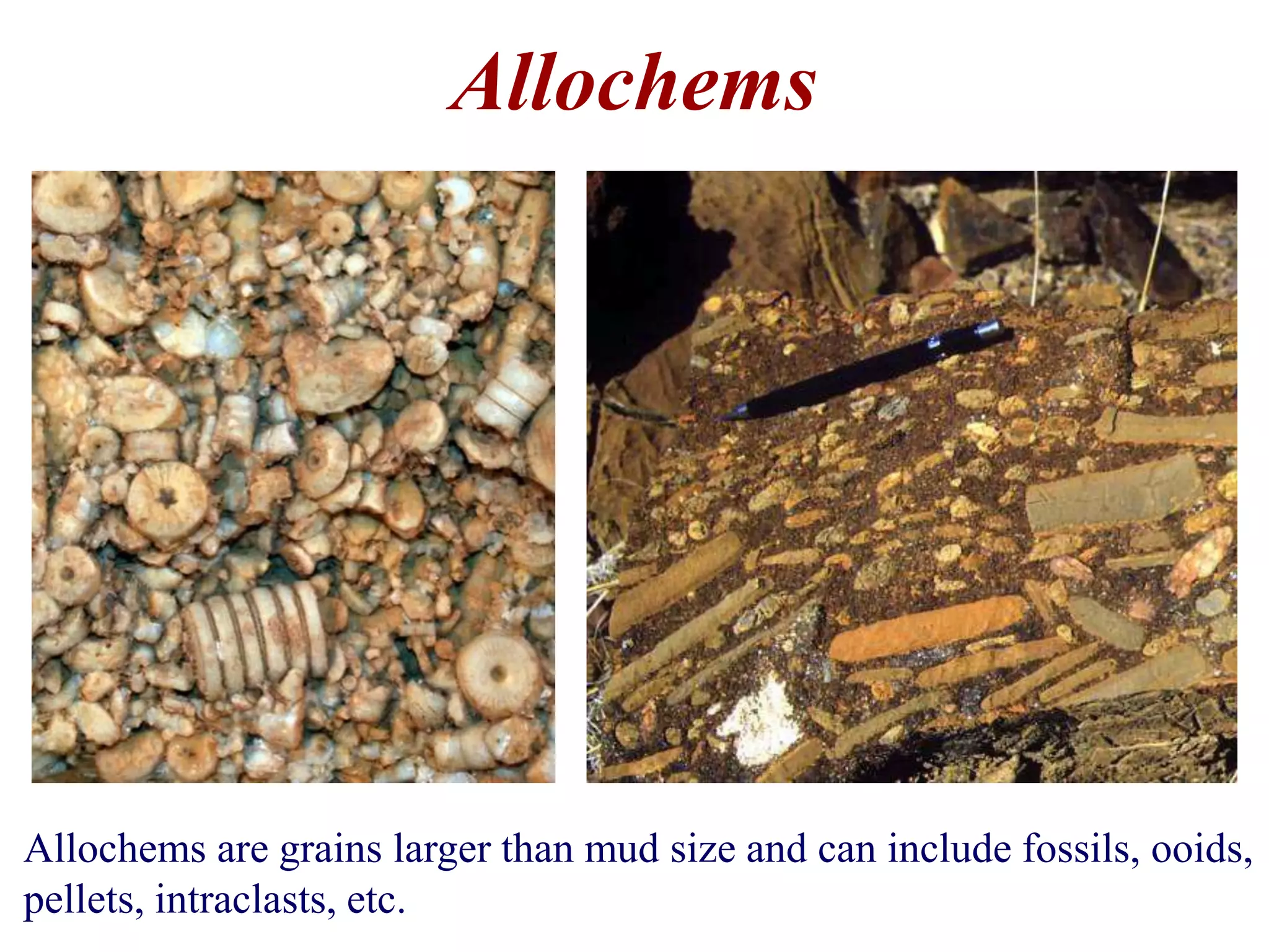 Allochems
Allochems are grains larger than mud size and can include fossils, ooids,
pellets, intraclasts, etc.
 