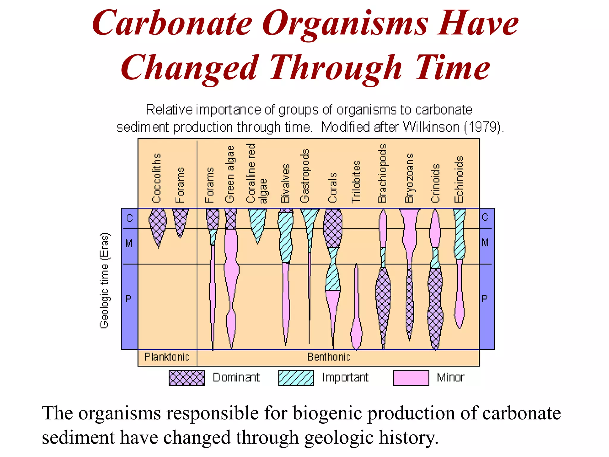 Carbonate Organisms Have
Changed Through Time
The organisms responsible for biogenic production of carbonate
sediment have changed through geologic history.
 