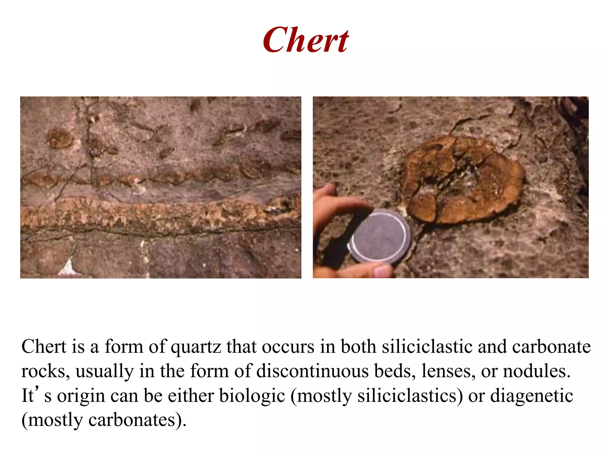 Chert
Chert is a form of quartz that occurs in both siliciclastic and carbonate
rocks, usually in the form of discontinuous beds, lenses, or nodules.
It’s origin can be either biologic (mostly siliciclastics) or diagenetic
(mostly carbonates).
 