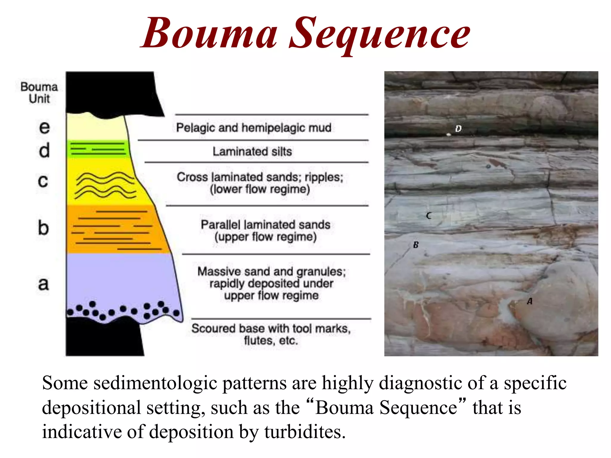 Bouma Sequence
Some sedimentologic patterns are highly diagnostic of a specific
depositional setting, such as the “Bouma Sequence” that is
indicative of deposition by turbidites.
 