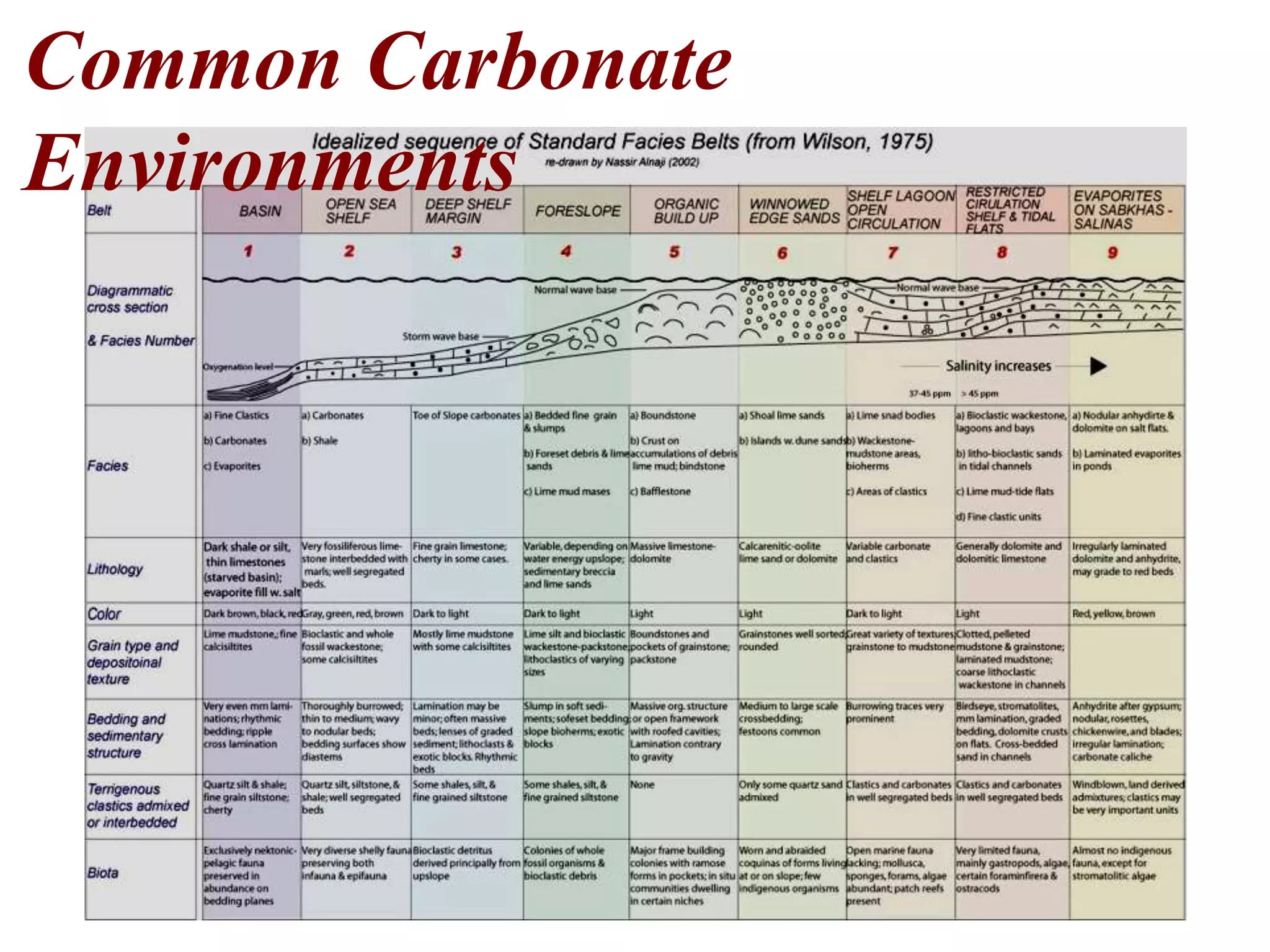 Common Carbonate
Environments
 