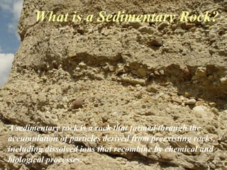 Photo by W. W. Little
What is a Sedimentary Rock?
A sedimentary rock is a rock that formed through the
accumulation of particles derived from preexisting rocks,
including dissolved ions that recombine by chemical and
biological processes.
 