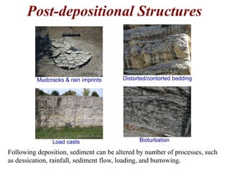 Introduction to Sedimentary Rocks | PPTX