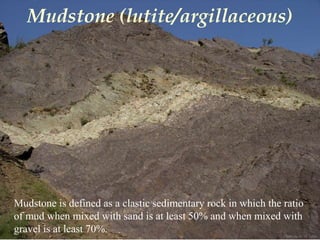 Photo by W. W. Little
Mudstone is defined as a clastic sedimentary rock in which the ratio
of mud when mixed with sand is at least 50% and when mixed with
gravel is at least 70%.
Mudstone (lutite/argillaceous)
 