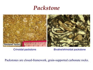 Packstone
Packstones are closed-framework, grain-supported carbonate rocks.
Crinoidal packstone Bivalve/ehinoidal packstone
 