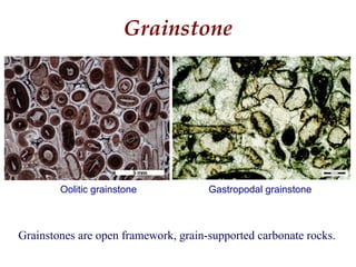 Grainstone
Grainstones are open framework, grain-supported carbonate rocks.
Gastropodal grainstoneOolitic grainstone
 