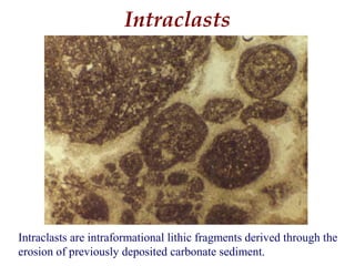 Intraclasts are intraformational lithic fragments derived through the
erosion of previously deposited carbonate sediment.
Intraclasts
 