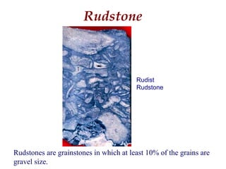 Rudstone
Rudstones are grainstones in which at least 10% of the grains are
gravel size.
Rudist
Rudstone
 