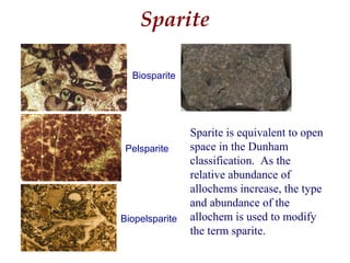 Sparite
Pelsparite
Biopelsparite
Biosparite
Sparite is equivalent to open
space in the Dunham
classification. As the
relative abundance of
allochems increase, the type
and abundance of the
allochem is used to modify
the term sparite.
 