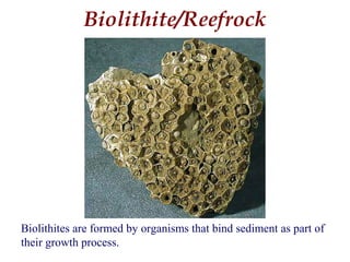 Biolithites are formed by organisms that bind sediment as part of
their growth process.
Biolithite/Reefrock
 