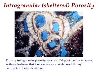 Primary intragranular porosity consists of depositional open space
within allochems that tends to decrease with burial through
compaction and cementation.
Intragranular (sheltered) Porosity
 