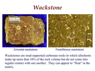 Wackstones are mud-supported carbonate rocks in which allochems
make up more than 10% of the rock volume but do not come into
regular contact with one another. They can appear to “float” in the
matrix.
Wackstone
Fossiliferous wackstoneCrinoidal wackstone
 