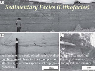 Sedimentary Facies (Lithofacies)
A lithofacies is a body of sediment/rock distinguished by a specified
combination of characteristics (composition, texture, sedimentary
structures) related to a specific set of physical, biological, and chemical
processes.
 