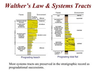 Walther’s Law & Systems Tracts
Most systems tracts are preserved in the stratigraphic record as
progradational successions.
Prograding beach Prograding tidal flat
 