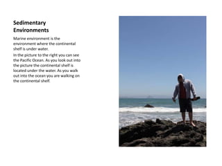 Sedimentary EnvironmentsMarine environment is the environment where the continental shelf is under water.In the picture to the right you can see the Pacific Ocean. As you look out into the picture the continental shelf is located under the water. As you walk out into the ocean you are walking on the continental shelf.