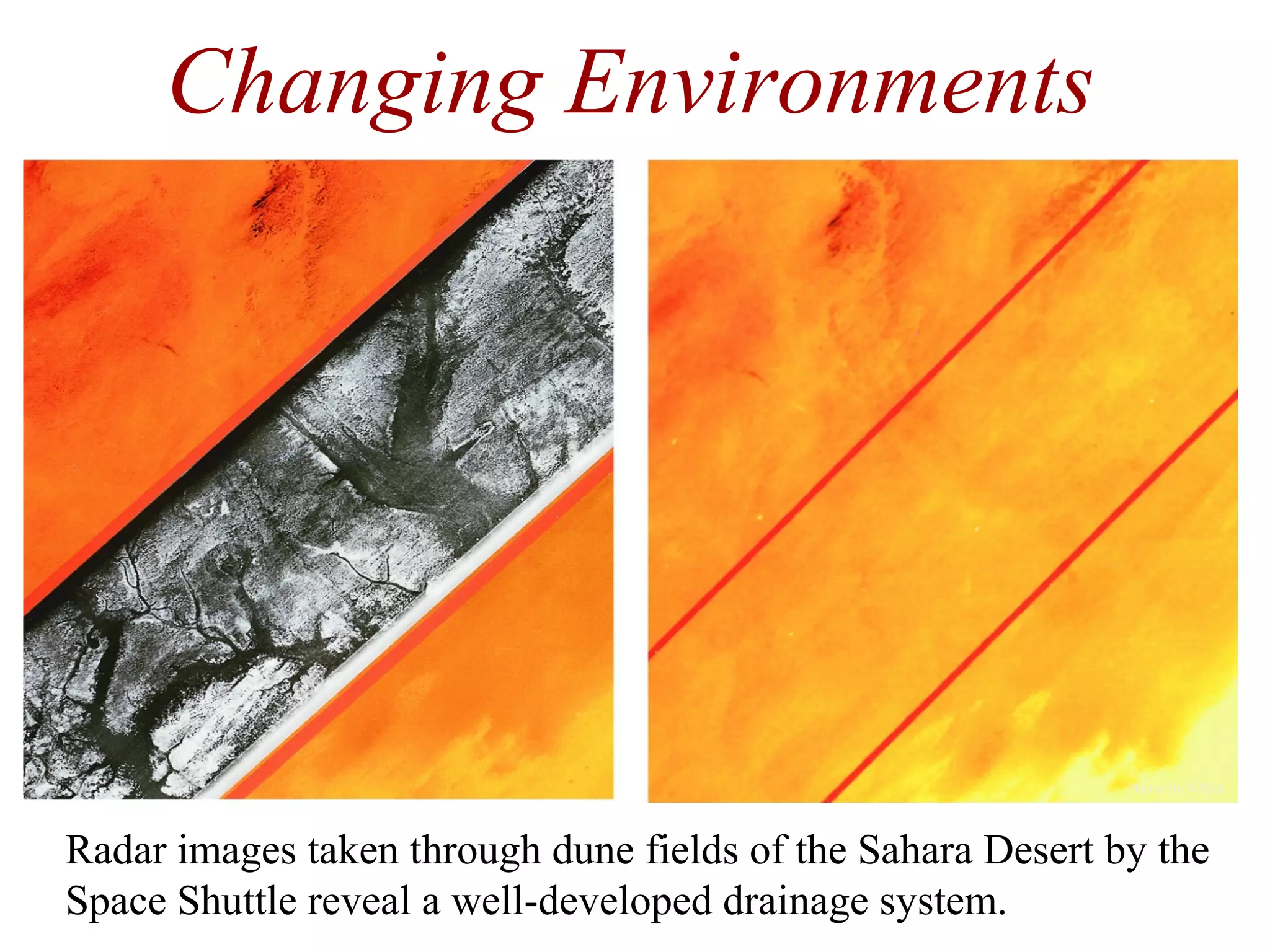 Changing Environments
Radar images taken through dune fields of the Sahara Desert by the
Space Shuttle reveal a well-developed drainage system.
Photos by NASA
 