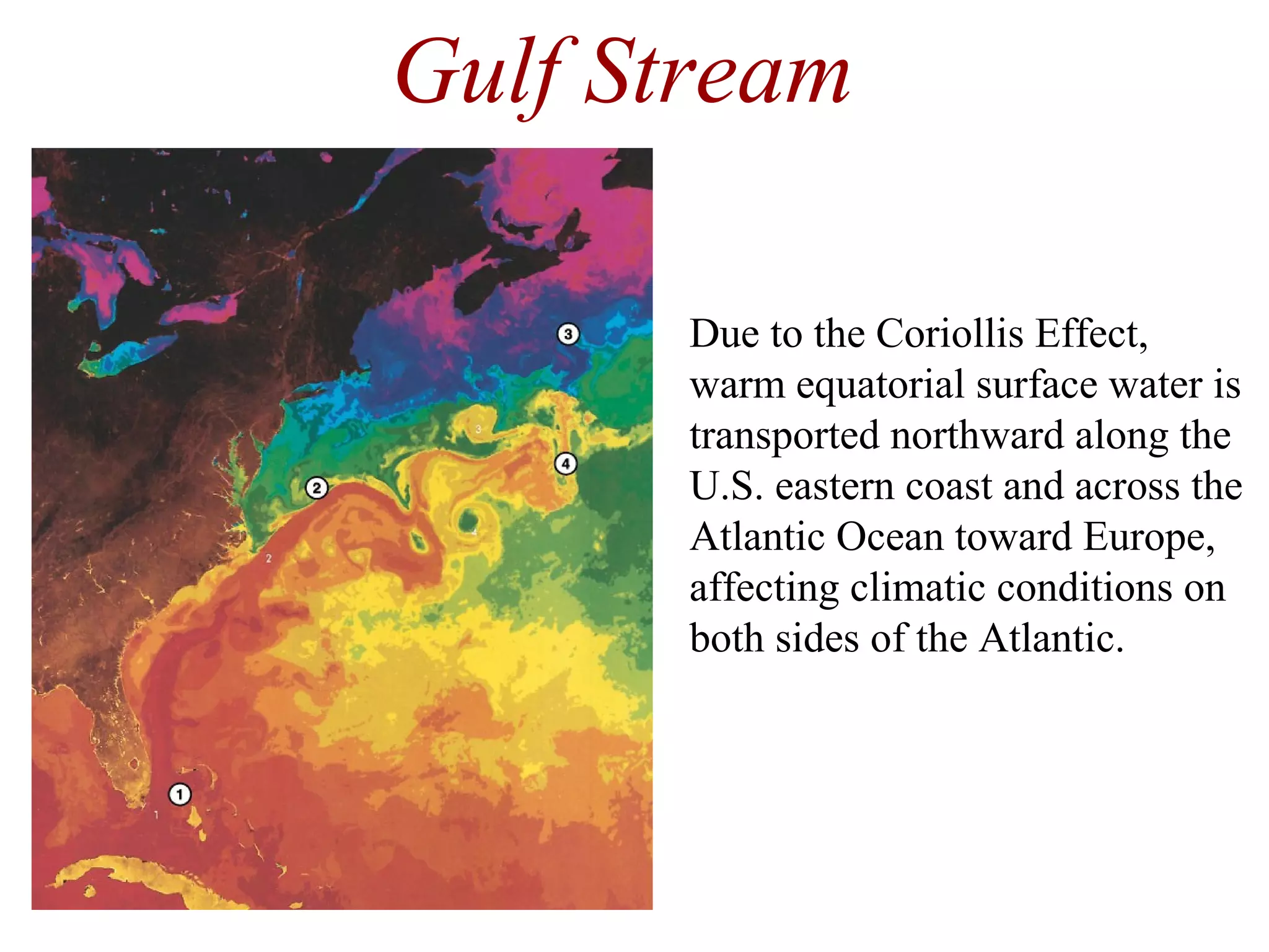 Due to the Coriollis Effect,
warm equatorial surface water is
transported northward along the
U.S. eastern coast and across the
Atlantic Ocean toward Europe,
affecting climatic conditions on
both sides of the Atlantic.
Gulf Stream
 