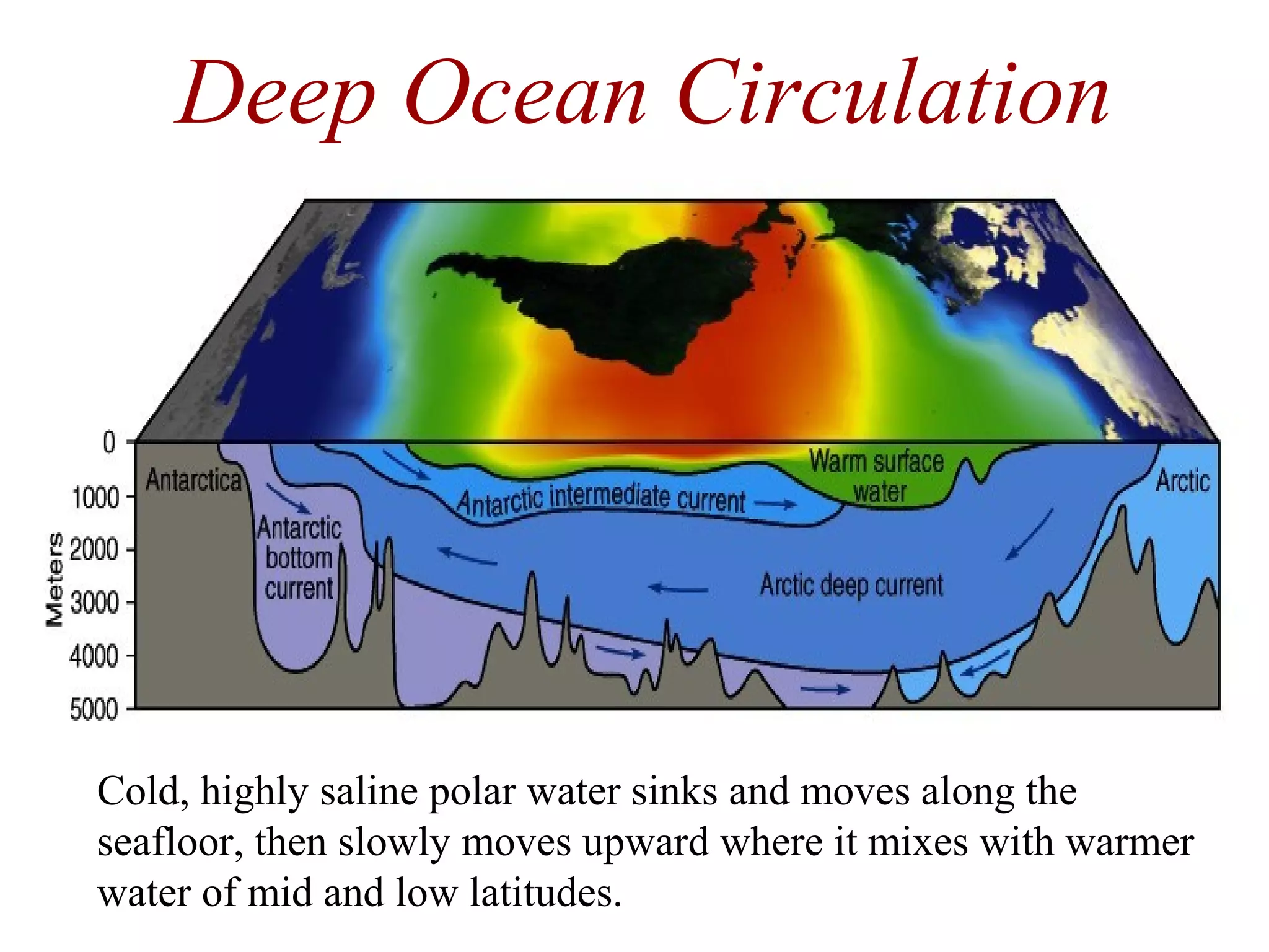 Cold, highly saline polar water sinks and moves along the
seafloor, then slowly moves upward where it mixes with warmer
water of mid and low latitudes.
Deep Ocean Circulation
 
