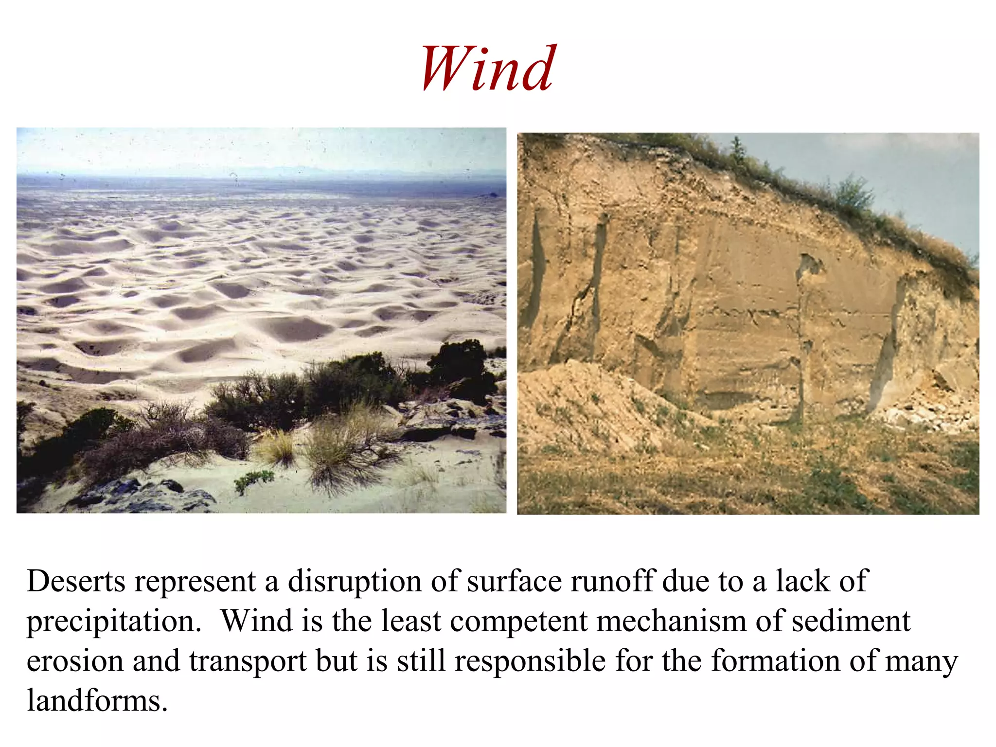 Wind
Deserts represent a disruption of surface runoff due to a lack of
precipitation. Wind is the least competent mechanism of sediment
erosion and transport but is still responsible for the formation of many
landforms.
 