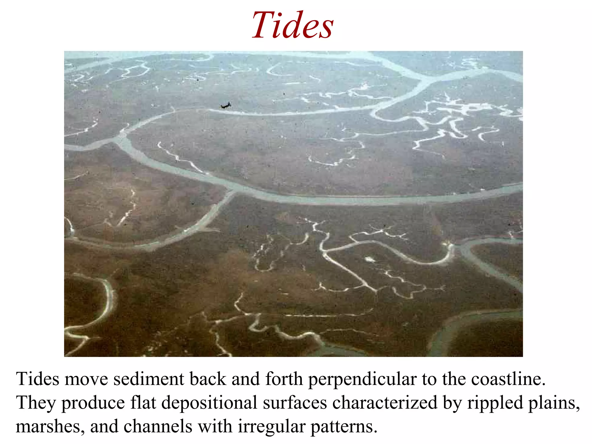 Tides
Tides move sediment back and forth perpendicular to the coastline.
They produce flat depositional surfaces characterized by rippled plains,
marshes, and channels with irregular patterns.
 