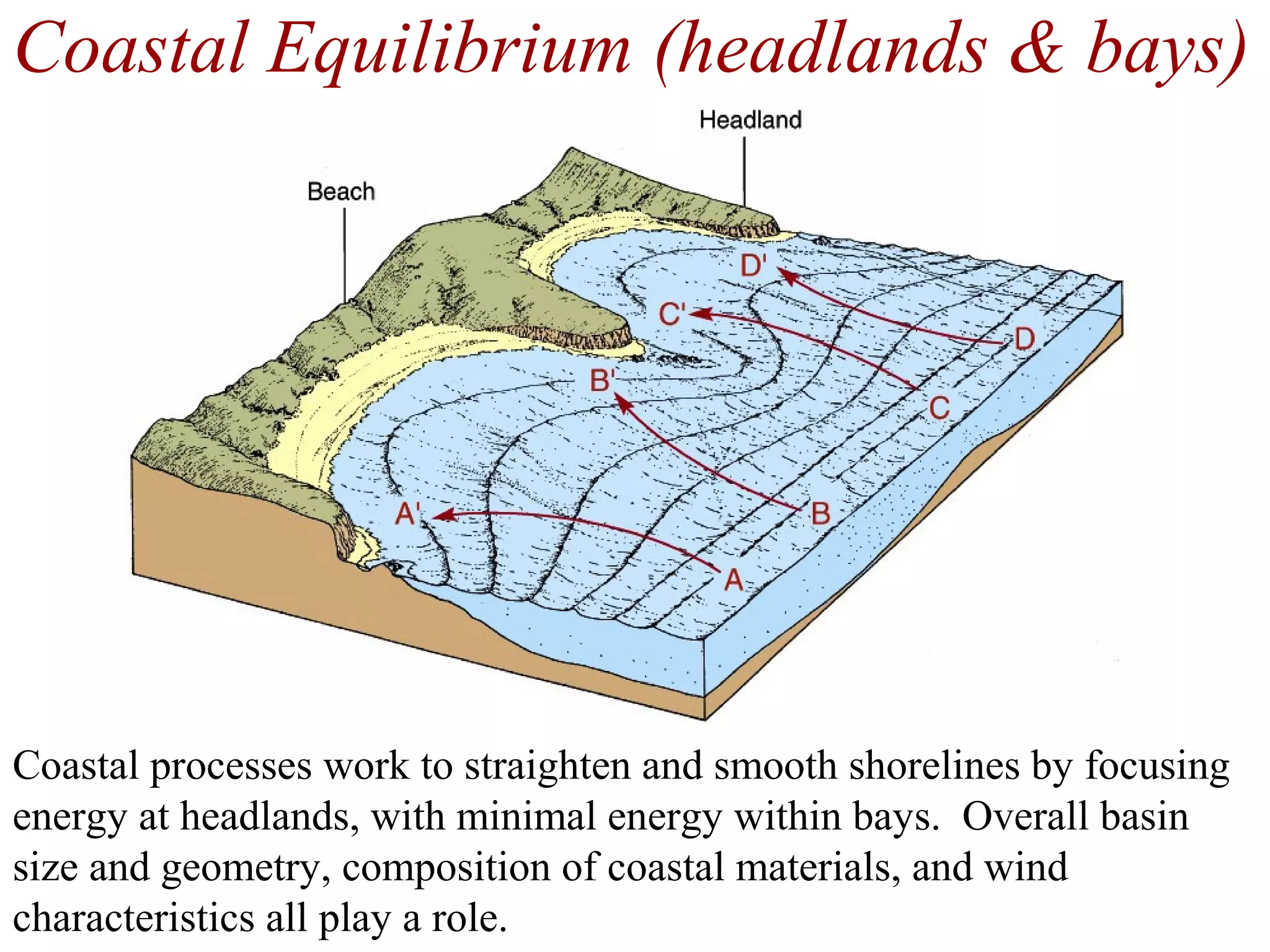 Coastal Equilibrium (headlands & bays)
Coastal processes work to straighten and smooth shorelines by focusing
energy at headlands, with minimal energy within bays. Overall basin
size and geometry, composition of coastal materials, and wind
characteristics all play a role.
 